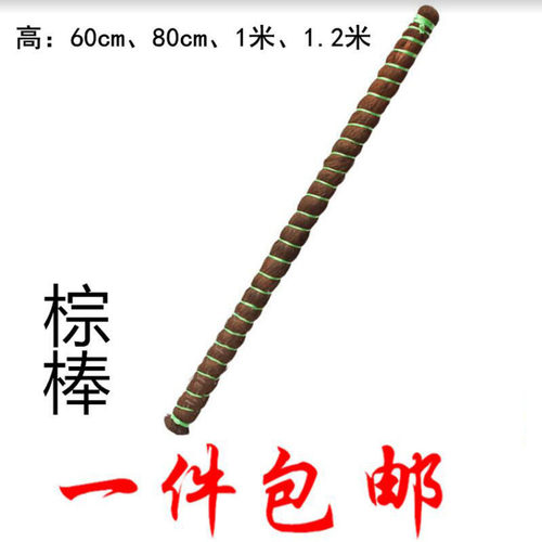 植物攀爬棕棒绿萝爬藤架