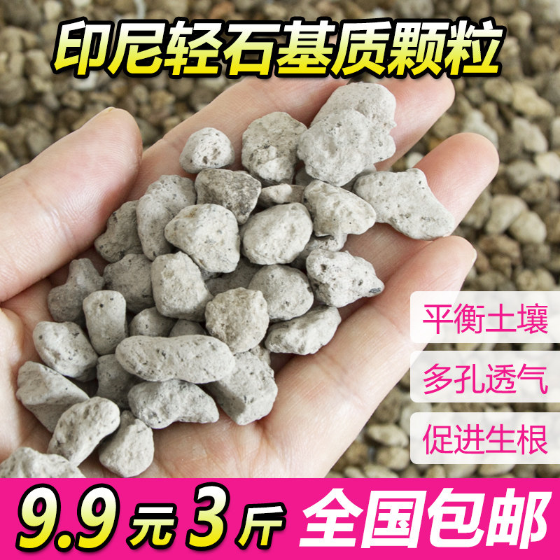 进口轻石颗粒土浮石钵底石兰花石多肉兰花铺面拌土水陆缸垫底造景,鲜花速递/花卉仿真/绿植园艺,介质/营养土,淘宝优惠券,粉丝福利购,淘宝优惠卷