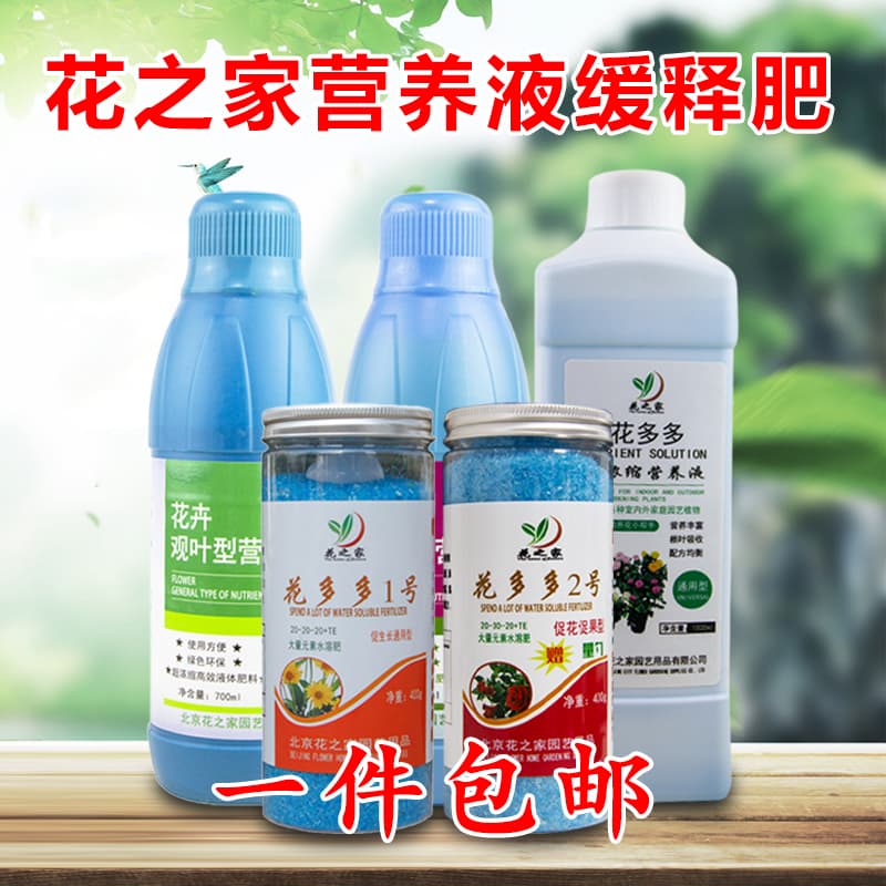 花多多盆栽植物花卉缓释肥花肥料