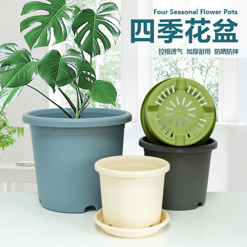 青山盆树脂特大号龟背竹塑料花盆家用加仑盆透气控根盆热植花盆,鲜花速递/花卉仿真/绿植园艺,花盆,淘宝优惠券,粉丝福利购,淘宝优惠卷