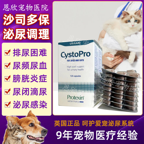 沙斯斯多保英国cystopro犬猫狗泌尿利尿通结石尿频尿血感染膀胱炎
