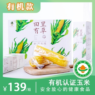 吉林公主岭田里有草甜糯玉米有机黄糯苞米真空非转基因2000克包邮