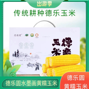 吉林公主岭玉米水墨画德乐圆黄糯玉米真空装新鲜自然熟大苞米包邮