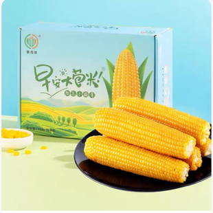 麦秀年早安大苞米10支*200g糯玉米新鲜黄甜糯玉米非转基因黏玉米