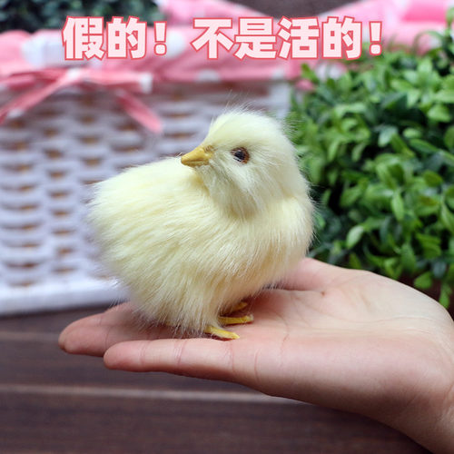 会叫的小鸡动物模型玩偶
