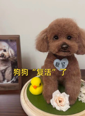 新品羊毛毡定制宠物仿真离世纪念狗狗模型照片仿生玩偶纯手工泰迪