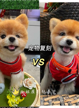 御姐羊毛毡定制仿真宠物仿真离世纪念狗狗模型玩偶纯手工摆件礼物