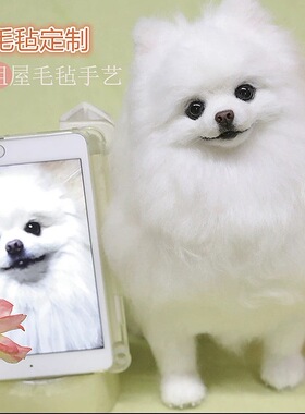 御姐羊毛毡宠物定制摆件模型猫咪狗狗离世纪念礼品博美仿真玩偶