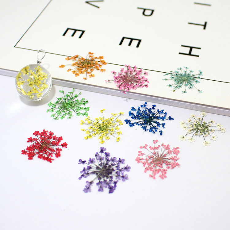 雪珠花多枝干花玻璃罩填充物3d立体押花植物标本干花diy饰品配件