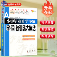2023新版 小学毕业升学夺冠字词句训练大集结 68所教学教科所 语文基础训练 小升初教辅