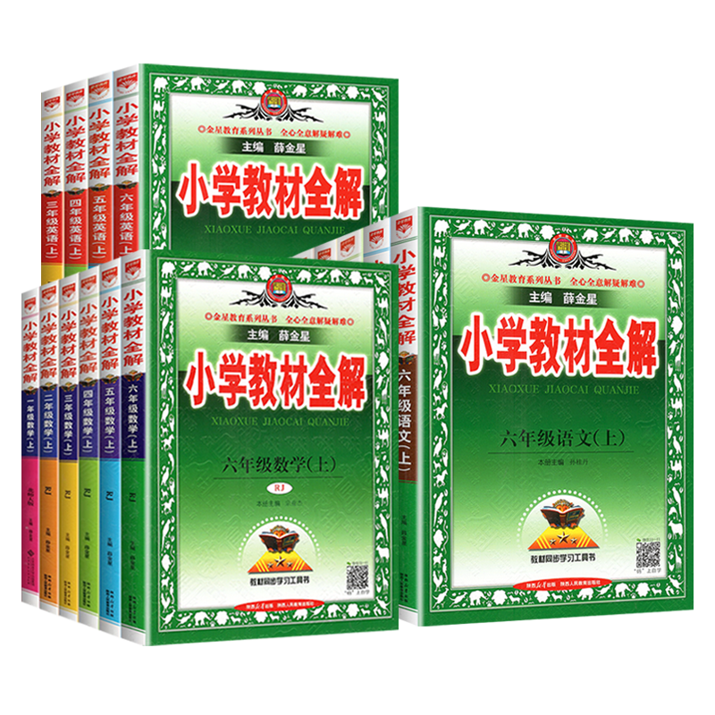 小学教材全解五年级下册语文
