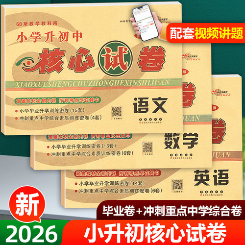 冲刺小学升初中核心试卷