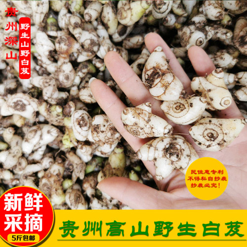 贵州野生小白芨白芨中草药材新鲜