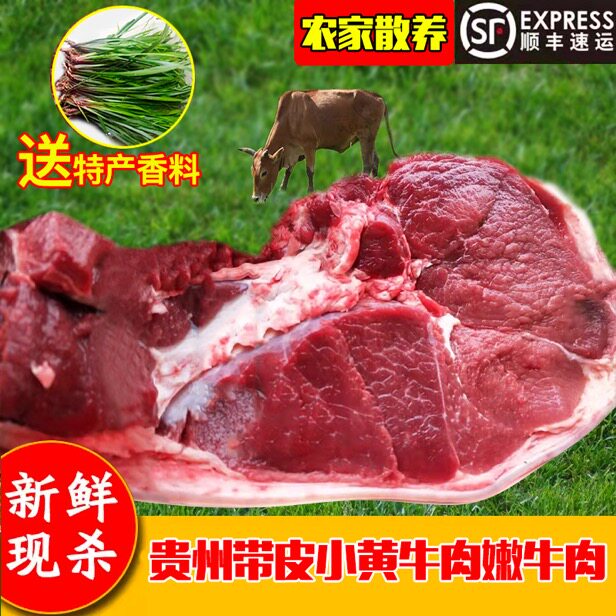 放养贵州现杀新鲜带皮牛肉小黄牛腿肉农家散养嫩牛肉黄牛肉5斤装