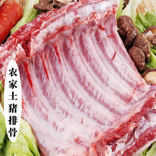 土猪排骨新鲜正宗农家养猪草喂肋排棒子骨猪大骨头前腿500g