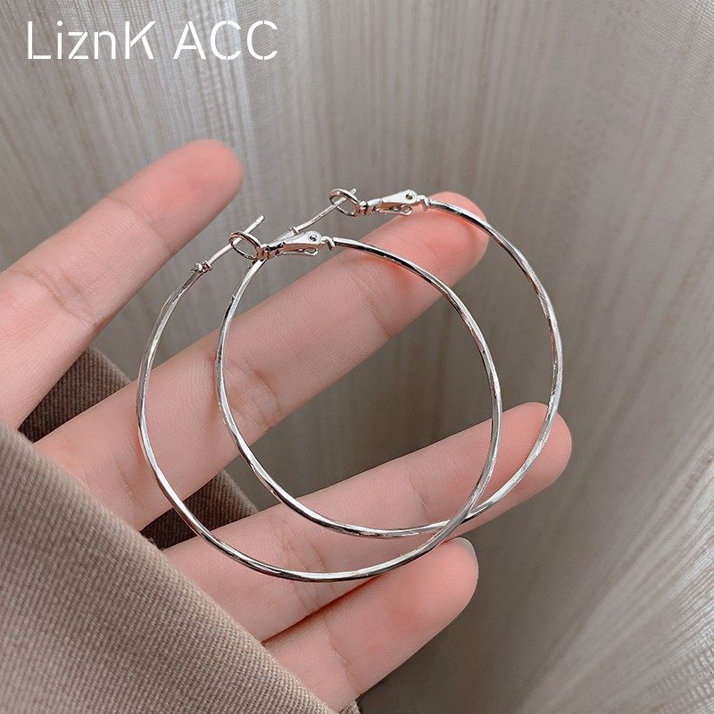 港风夸张大圈圈耳环名媛小众设计感高级耳圈纯银耳饰2024年新款潮