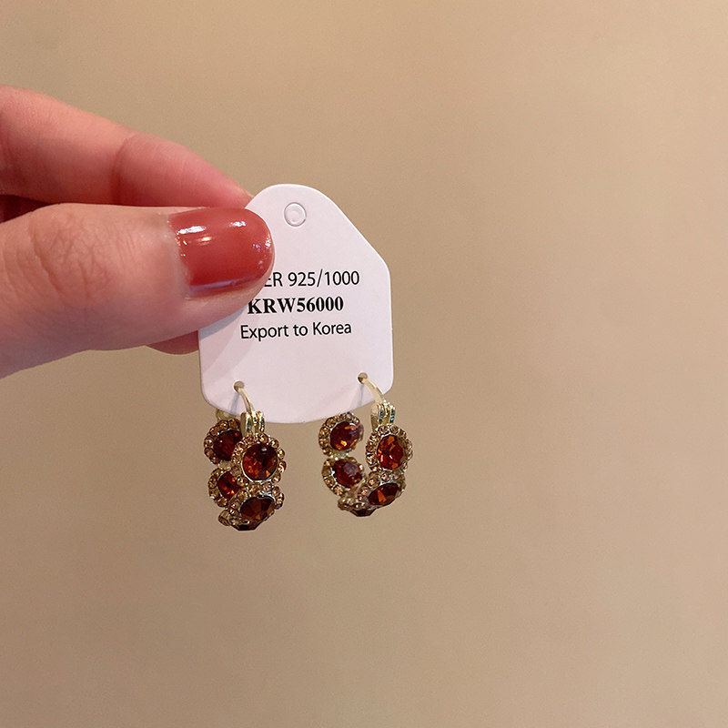 2025新款爆款咖色水晶耳圈轻奢高级感耳环女气质秋冬独特漂亮耳饰