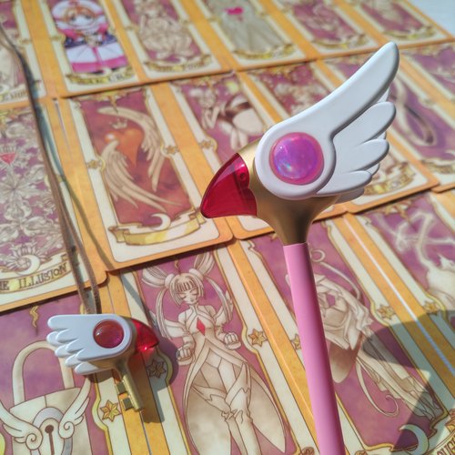 鸟头钥匙项链手杖可装地铁公交卡