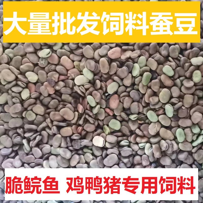 脆皖鱼专用饲料蚕豆  喂钓翠皖鱼草鱼脆肉鲩胡豆子原料鸡生干饵料