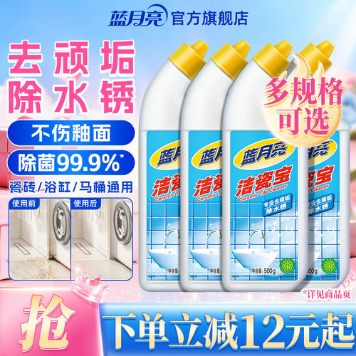 蓝月亮地板瓷砖清洗剂500g