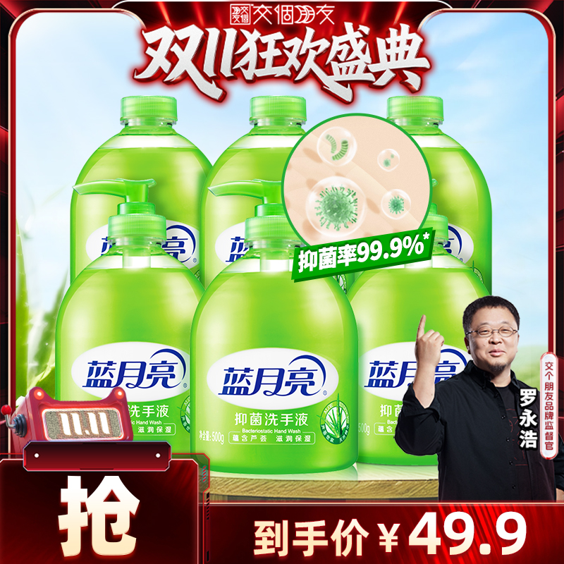 蓝月亮芦荟抑菌洗手液6瓶