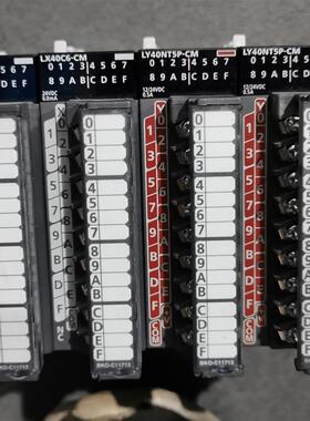 LX41C4-CM/LY41/LX42C4-CM/LY42NT1P-CM/LX40/LY40 PLC