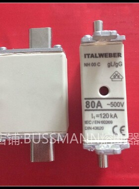 熔断器 35A  40A 50A 63A 80A  100A 500V NH00C gL/gG