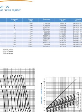 FERRAZ LINDNER 熔断器N222169 1700.0166 D01GR44V16 16A 400V