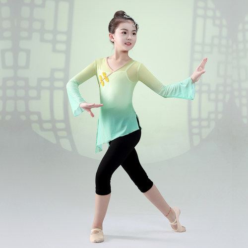 古典舞演出服女儿童舞蹈练功服