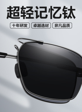 雷派龙潮流记忆钛超轻无磁偏光太阳镜男士防紫外线驾驶开车钓鱼镜