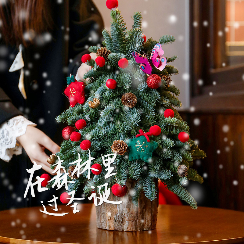 手工DIY圣诞树红色球果松针