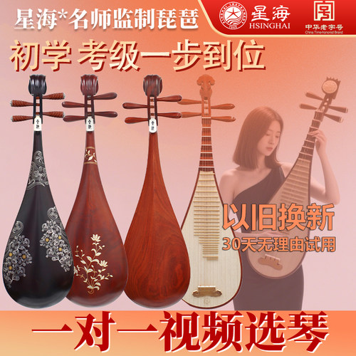 【名师监制款视频选琴】星海琵琶