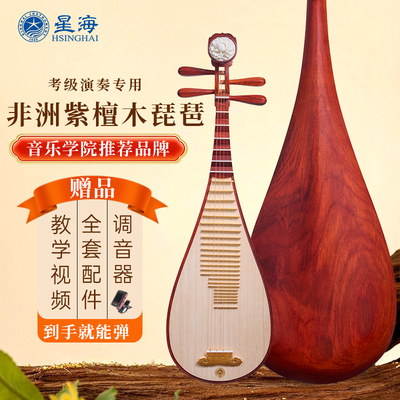 【视频选琴 30天试用】星海练习考级非洲紫檀硬木成人琵琶8912