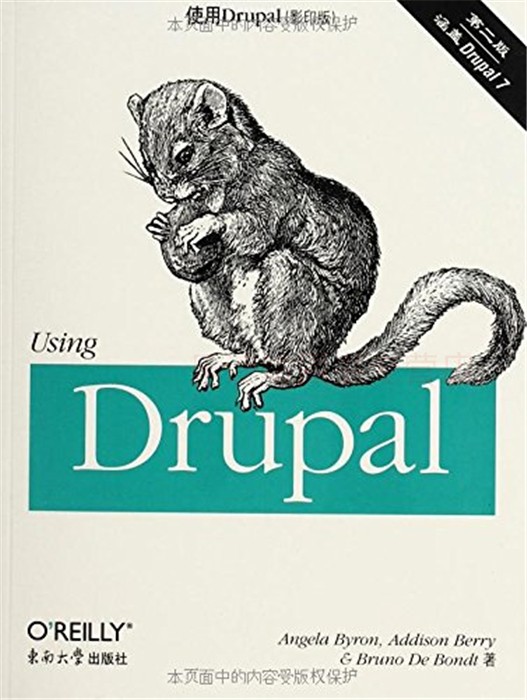 使用Drupal第2版影印版英语 拜伦 贝里 全国公共英语等级考试 在线商店 产品评审数据库 东南大学出版社 正版艺术书籍