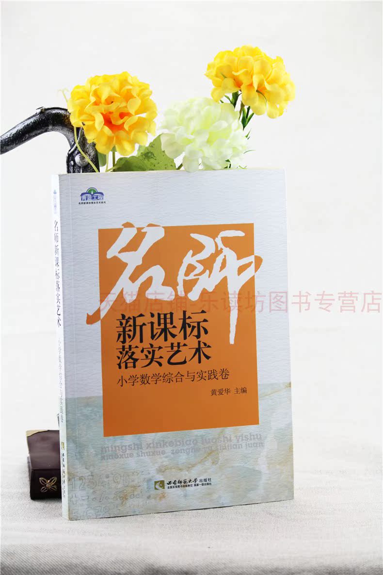 名师新课标落实艺术:小学数学综合与实践卷小学数学母题思维训练练习题知识点汇总思维方法精选同步练习册试卷专项突破应用必刷题