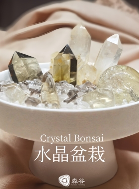 天然水晶晶柱晶簇造型盆栽家居桌面摆件家居装饰日常送礼消磁礼盒