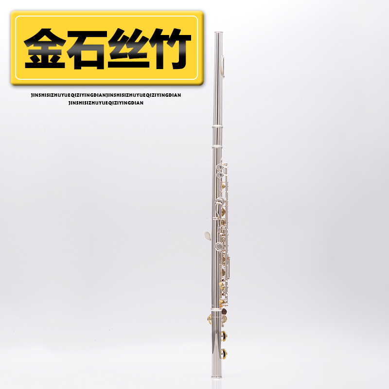 梵巢西洋乐器FL-428长笛16孔开孔白铜镀银初学考级演奏出儿童成人