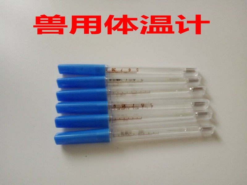 兽用体温表  温度计  兽用体温计 兽用玻璃体温计 兽用水银体温表