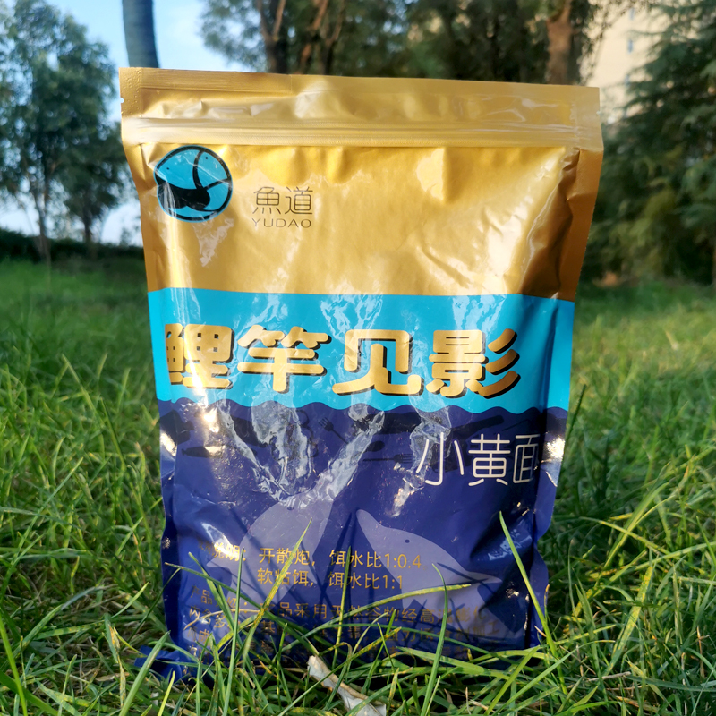 鱼道鲤竿见影小黄面黑坑鲤鱼