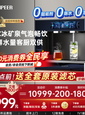 宜盾普W6嵌入式直饮机冰矿泉气泡水家庭净饮机净水器可接水龙头