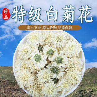 2025正品精选白菊花中药材无硫贡菊白菊花茶金丝皇菊养生泡水袋装