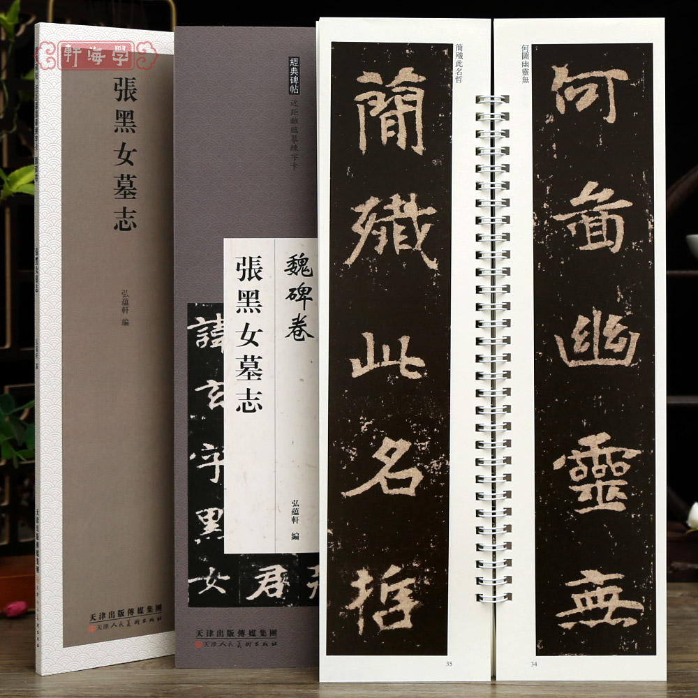 学海轩张黑女墓志近距离临摹练字卡魏碑卷原色原帖繁体旁注魏碑张玄楷书毛笔书法字帖成人学生临摹范本