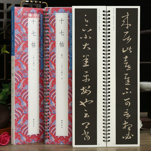 2本王羲之十七帖近距离临摹字卡