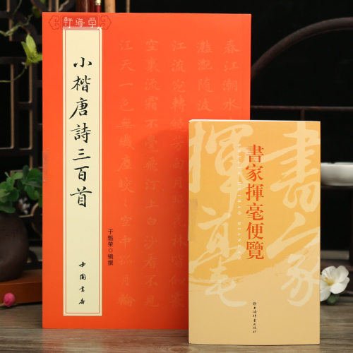 2本书家挥毫便览小楷唐诗三百首
