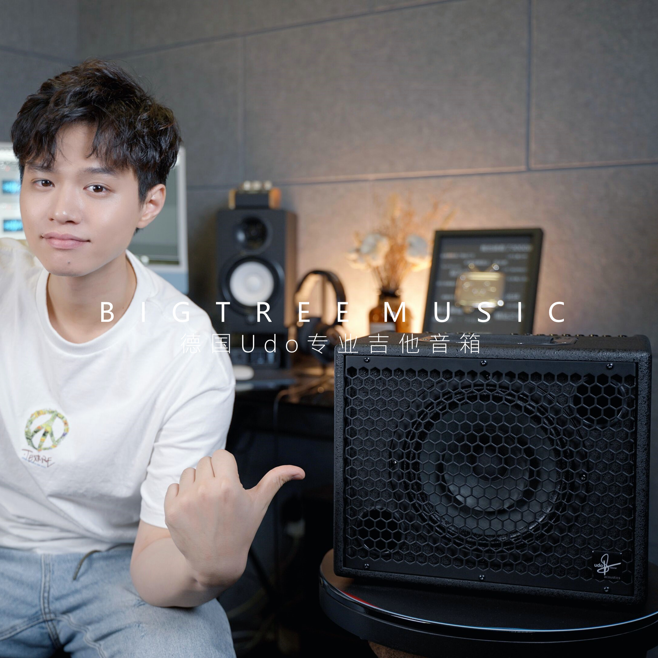 大树音乐屋 德国Udo吉他音箱Tommy指弹同款75瓦乐器音响