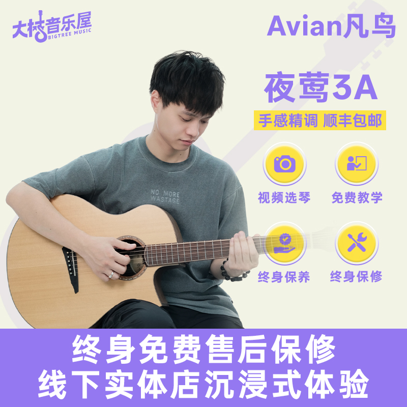 大树音乐屋飞鸟云雀夜莺木吉他