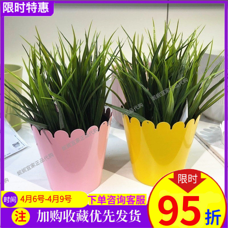 宜家植物价格 宜家植物图片 星期三