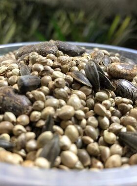 花卉肥料叶片绿叶片厚