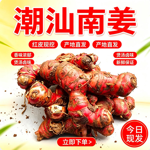 南姜新鲜原产地现新鲜当天现挖现发牛肉火锅卤鹅牛肉粿条餐饮商用