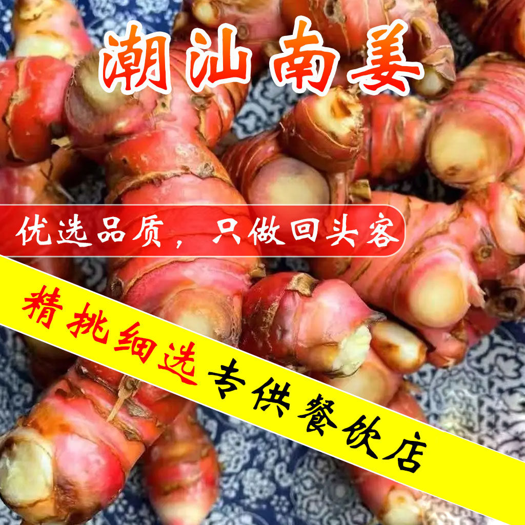 正宗潮汕新鲜南姜新鲜现挖
